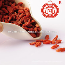 Dried goji berries wholesale distributor offer free samples goji berry